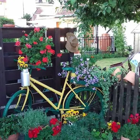 Gucio 홈스테이 웨바