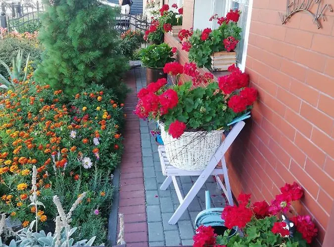 Homestay szállás Gucio *